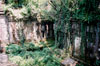 foliage at beng mealea