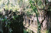 foliage at beng mealea