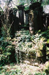 foliage at beng mealea