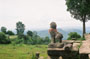 Lion overlooking the Korat plateau