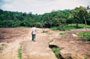 sandstone path leading to Cambodia
