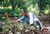 village man planting