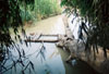 A raft tied to a tree on the Ping River